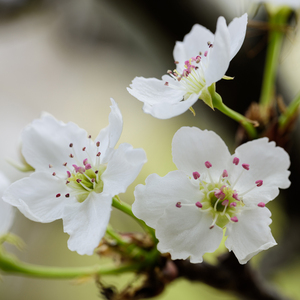 女兵裸体特黄级
